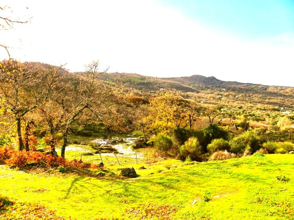 Quinta Do Marvao Guest House Стая снимка