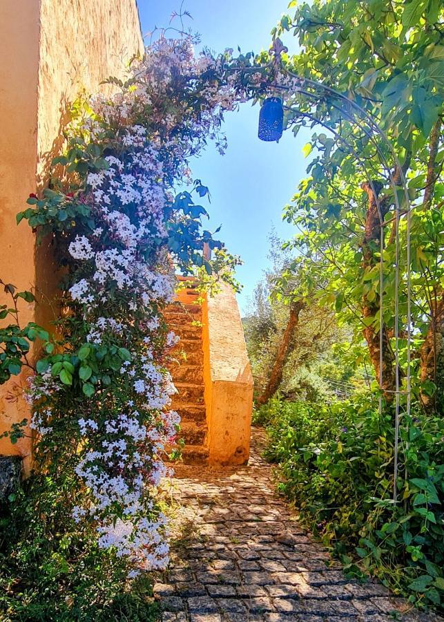 Quinta Do Marvao Guest House Екстериор снимка