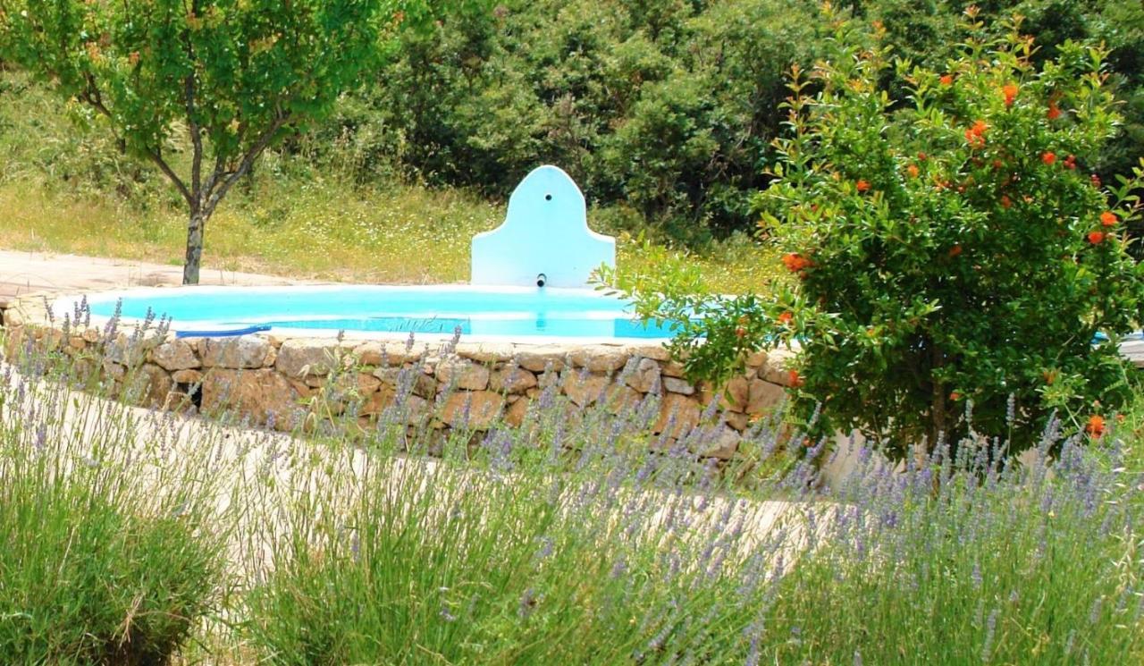 Quinta Do Marvao Guest House Екстериор снимка