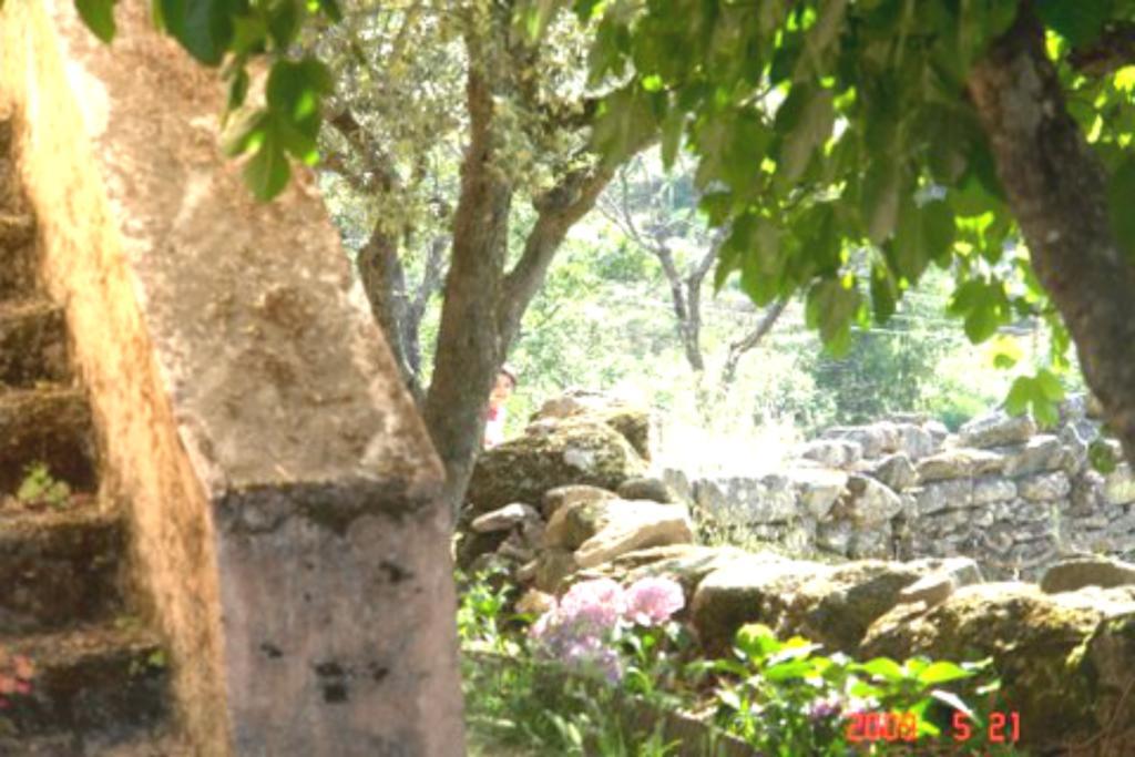 Quinta Do Marvao Guest House Екстериор снимка