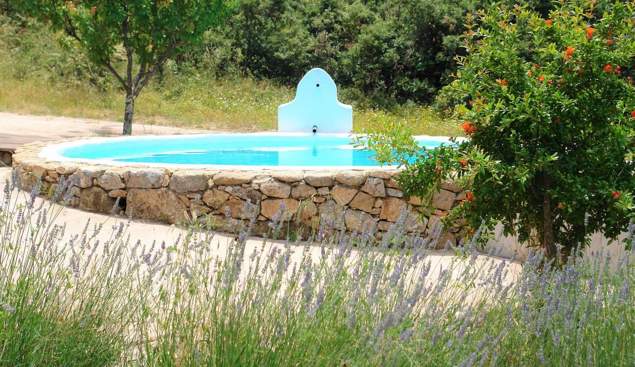 Quinta Do Marvao Guest House Екстериор снимка