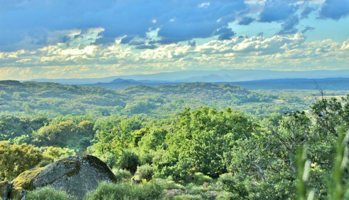 Quinta Do Marvao Guest House Екстериор снимка