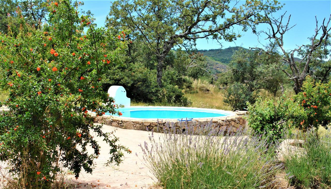 Quinta Do Marvao Guest House Екстериор снимка